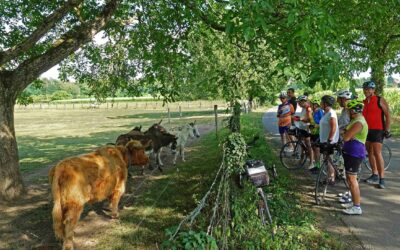 Résultats concours photo 2020